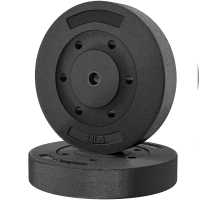 Soozier Weight Plates Set of 2, 1-Inch Barbell Weight Set for Home Gym Strength Training and Weightlifting, 2 x 22 lbs