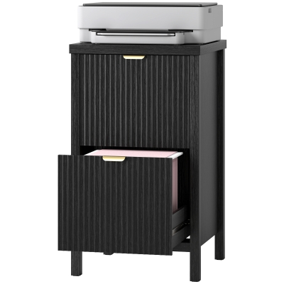 HOMCOM 2 Drawer File Cabinet with Silent Slides, Vertical Modern Filing Cabinet Fits Letter/A4 Size Home Office, Black