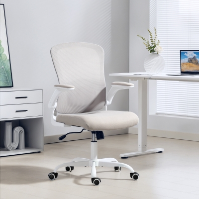 HOMCOM Ergonomic Mesh Office Chair with 4D Lumbar Support, Swivel Desk Chair with Flip-up Armrests, Tilt Function, Grey