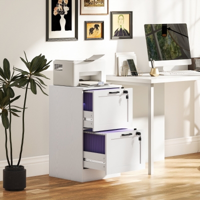 HOMCOM Vertical Filing Cabinet with 2 Drawers, Lock, File Cabinet for Home Office, A4 and Letter Size Files, White