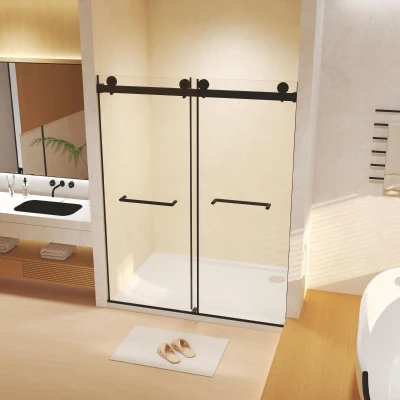 Frameless Double Sliding Shower Door with Silent Rollers, Matte Black