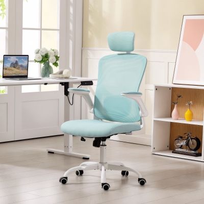 HOMCOM Ergonomic Office Chair, Mesh Desk Chair with Adjustable Headrest, Lumbar Support and Height, Tilt Function, Light Green