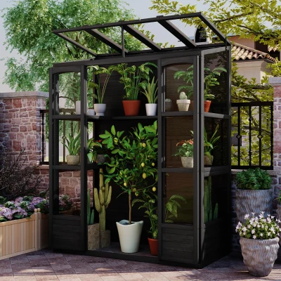 Walk-In Wooden Greenhouse with 2 Folding Shelf & 4 Skylight, 58'' L x 29'' W x 78'' H, Black