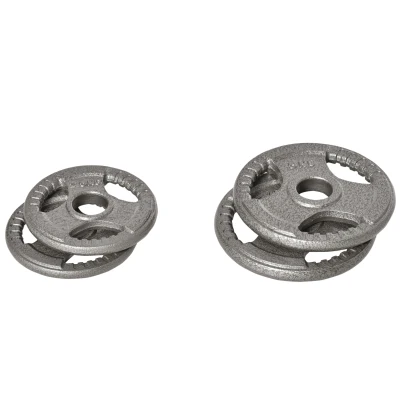 Soozier Set of 4 Weight Plates for 2"/5cm hole Dumbbell Handle Bar, 33 lbs Dumbbell Plates Barbell Weights, 2 x 11 lbs, 2 x 5.5 lbs, Silver