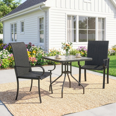 Outsunny 2 Piece PE Rattan Patio Dining Chairs with Steel Frame,  for Garden, Backyard, Pool Side, Porch, Black