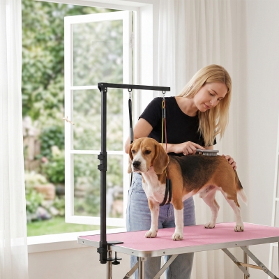 PawHut Dog Grooming Arm with Clamp Adjustable Foldable Dog Grooming 2 Loop Noose Small Medium Dogs 18.9" -32.3" Black
