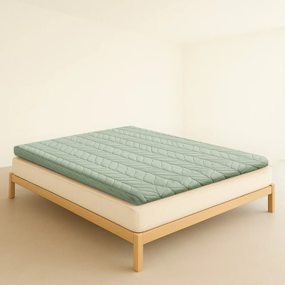 Soft 100% Cotton Futon Mattress with High-Resilience Foam, 80" L x 60" W x 2.5" H, Beige Brown