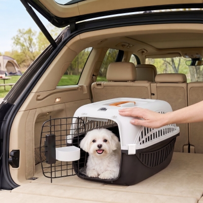 PawHut Airline Approved Pet Carrier for Mini Dogs and Cats with Steel Wire Door, Water Bowl, for Car, Airplane, Outdoor, Balck