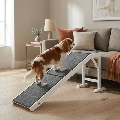 PawHut Foldable Dog Ramp with Non-slip Carpet, Gray/White