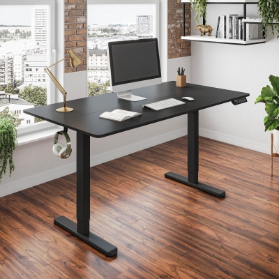 Sleek Electric Standing Desk with Memory Presets and Hooks, 47.5'' L x 23.5'' W x 28'' H, Black
