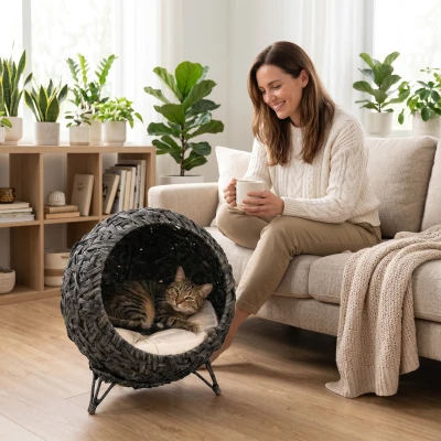 PawHut Rattan Elevated Cat Bed with Cushion and Metal Base