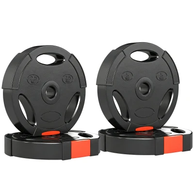 Soozier 1-Inch Weight Plates, Barbell Weights Set for Weightlifting and Strength Training, 2 x 11lbs + 2 x 5.5lbs