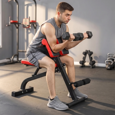 Soozier Foldable Roman Chair Hyperextension Bench, 660LBS Adjustable Weight Bench for Home Gym, Black