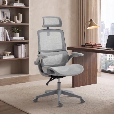 HOMCOM Ergonomic Office Chair Mesh Reclining with Lumbar, Gray
