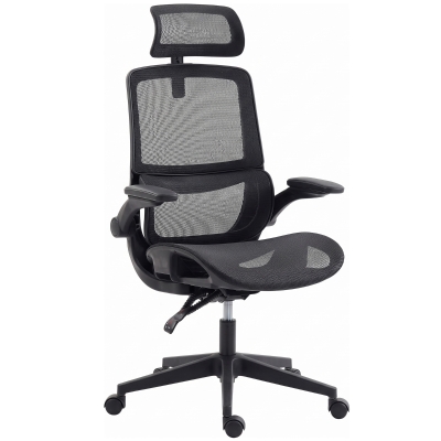 HOMCOM Ergonomic Mesh Office Chair, Lumbar Support, Black