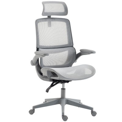 HOMCOM Ergonomic Office Chair Mesh Reclining with Lumbar, Gray