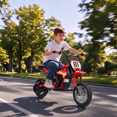 Qaba 24V Kids Electric Dirt Bike, 250W Motor, 12" Tires, Red