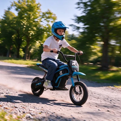 Aosom 24V 350W Electric Dirt Bike, 15 MPH, Blue