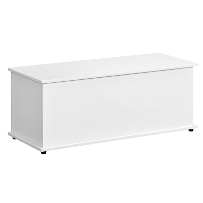 HOMCOM Modern Lift Top Storage Bench 39.4", White, 264 lbs Capacity