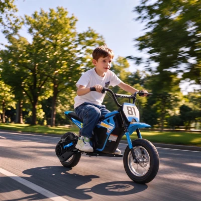 Qaba 24V Kids Electric Dirt Bike, 250W Motor, 12" Tires, Blue