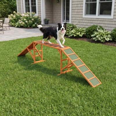 PawHut Dog Agility Ramp, Non-slip Pet Training Equipment, Orange
