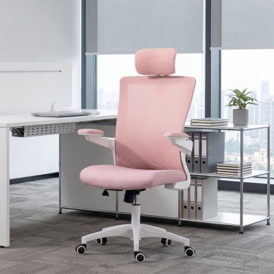 HOMCOM Ergonomic Office Chair, Swivel Desk Chair with Adjustable Lumbar Support, Headrest and Height, Flip-up Armrests, Pink