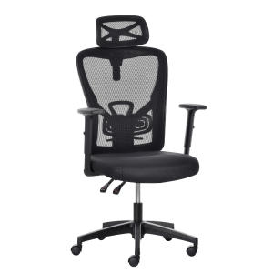 Vinsetto High Back Ergonomic Computer Home Office Chair, Mesh Task Chair with Lumbar Back Support, Reclining Function, Adjustable Headrest, Arms and Height, Black