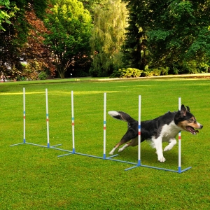 PawHut Adjustable Dog Agility Training Obstacle Set with Weaves Poles and Storage Bag for Pet Dogs Outdoor Games Exercise