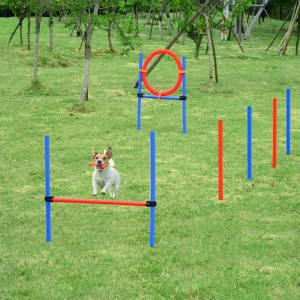 PawHut Pet Agility Training Equipment Adjustable Dog Play Run Jump Obedience Training Set (Pole + Hoop + Hurdle)
