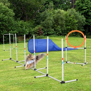 PawHut Outdoor Dog Pet Agility Training Equipment Backyard Starter Course Set