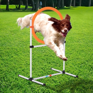 PawHut 7 Piece Dog Agility Taining Equipment, Dog Obstacle