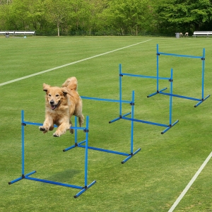 PawHut Adjustable Dog Training Agility Jump Bar w/ Carrying Bag - Set of 4 Jumps