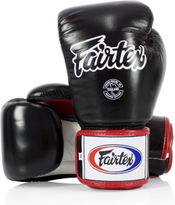 Fairtex BGV1 Muay Thai Boxing Training Gloves for Men, Women & Kids — Premium, Shock-Absorbing Leather (8 oz)