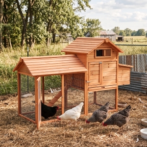PawHut 82" Deluxe Chicken Coop Wooden Large Hen House with Run and Nesting Box for Hens Rabbits, Orange