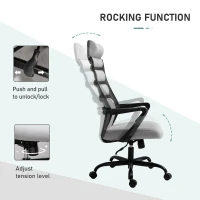 Vinsetto High Back Ergonomic Home Office Desk Chair with Spandex Fabric, Computer Task Chair with Ladder Back, Thick Padding and 360 Swivel Wheels, Grey(m-5)