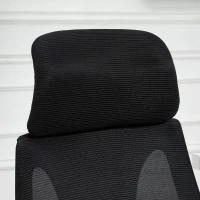 Vinsetto Ergonomic Home Office Mesh Desk Chairs, Computer Task Chair with Massage Lumbar Cushion, Adjustable Seat & Headrest, Rocking Function, Black(m-15)