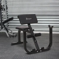 Soozier Heavy Duty Adjustable Roman Chair Rack Abdominal Exercise Machine Home Gym Fitness(m-2)