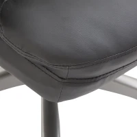 HOMCOM High Back Executive Office Chair Adjustable Tilt Black(m-13)