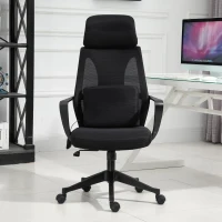 Vinsetto Ergonomic Home Office Mesh Desk Chairs, Computer Task Chair with Massage Lumbar Cushion, Adjustable Seat & Headrest, Rocking Function, Black(m-9)