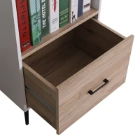 HOMCOM Modern 2-Tier Vertical Storage Cabinet Display Rack Home Organzier Living Room(m-7)