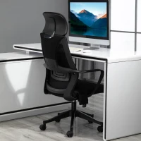 Vinsetto Ergonomic Home Office Mesh Desk Chairs, Computer Task Chair with Massage Lumbar Cushion, Adjustable Seat & Headrest, Rocking Function, Black(m-11)