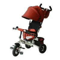Qaba 4-in-1 Baby Tricycle & Stroller Kids Trike with Pushbar and Canopy Toddler Ride On  Red(m-2)