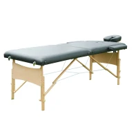 Soozier 2.5" Thick Portable Massage Table Foldable Adjustable Salon Bed Spa Bag(m-2)