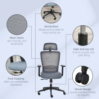 Vinsetto Mesh Office Chair with Lumbar Back Support High Back Swivel Task Chair, Adjustable Height Head Pillow, Blue Grey(m-9)
