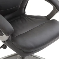 HOMCOM High Back Executive Office Chair Adjustable Tilt Black(m-10)