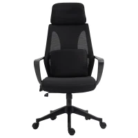 Vinsetto Ergonomic Home Office Mesh Desk Chairs, Computer Task Chair with Massage Lumbar Cushion, Adjustable Seat & Headrest, Rocking Function, Black(m-12)