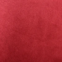 HOMCOM Retro High Back Upholstered Accent Chair Armless Velvet Living Room Chair with Curved Backrest and Birch Legs, Red(m-9)