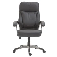 HOMCOM High Back Executive Office Chair Adjustable Tilt Black(m-7)