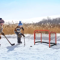 Soozier Foldable Ice Hockey Goal  Easy to Handle  Tetoron Mesh(m-1)
