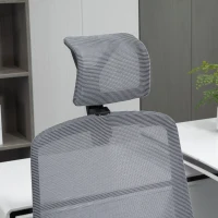 Vinsetto High Back Ergonomic Mesh Office Chair with Adjustable Height, Armrests, Lumbar Support and Headrest, Grey/Black(m-14)